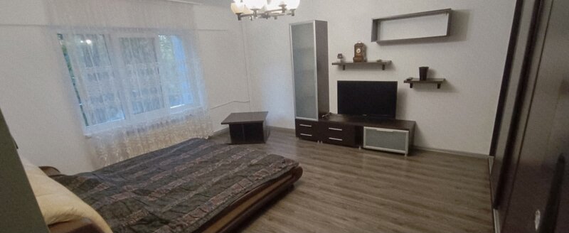 Militari, Iuliu Maniu,